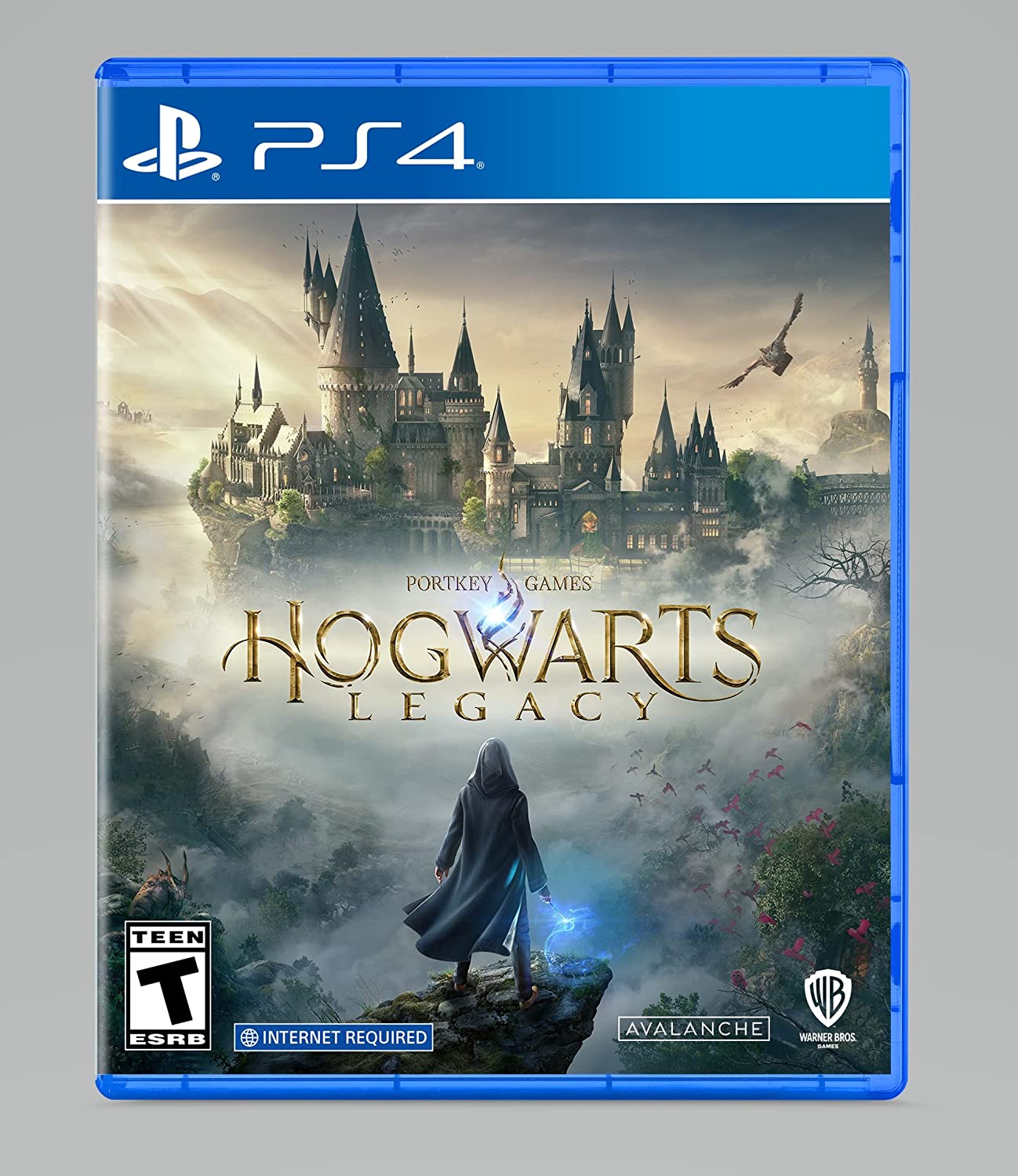 Hogwarts Legacy. PS4